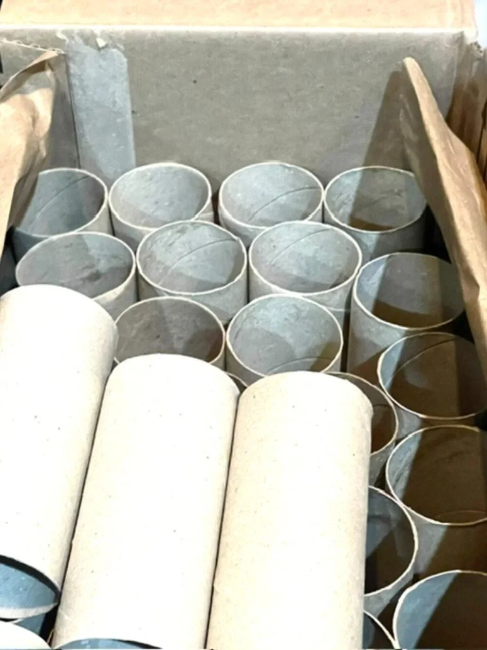 100 Toilet Paper Empty Rolls Cardboard Tubes Craft Art Project School Kid